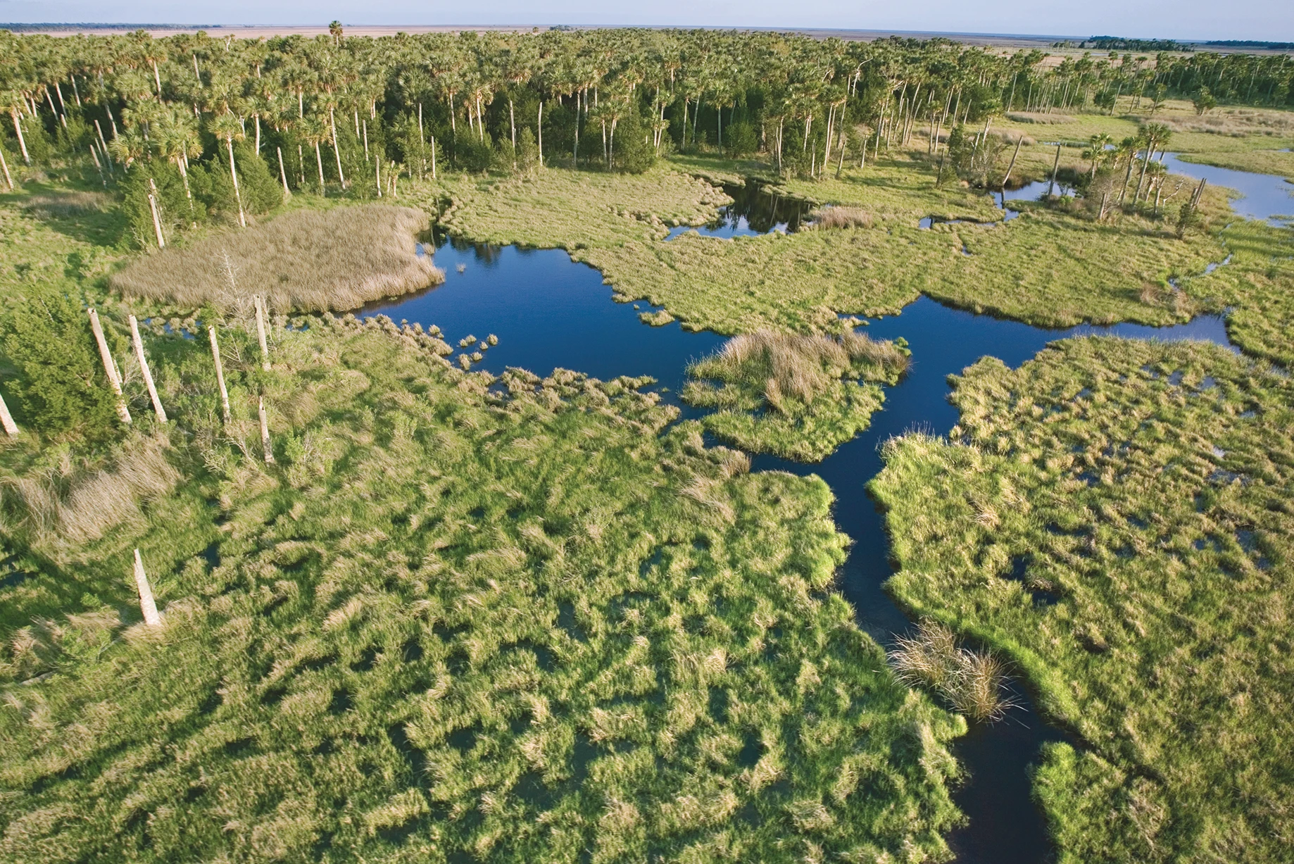 Florida Everglades