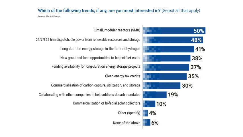 Electric Report Perspective 4-Exec Sum 1