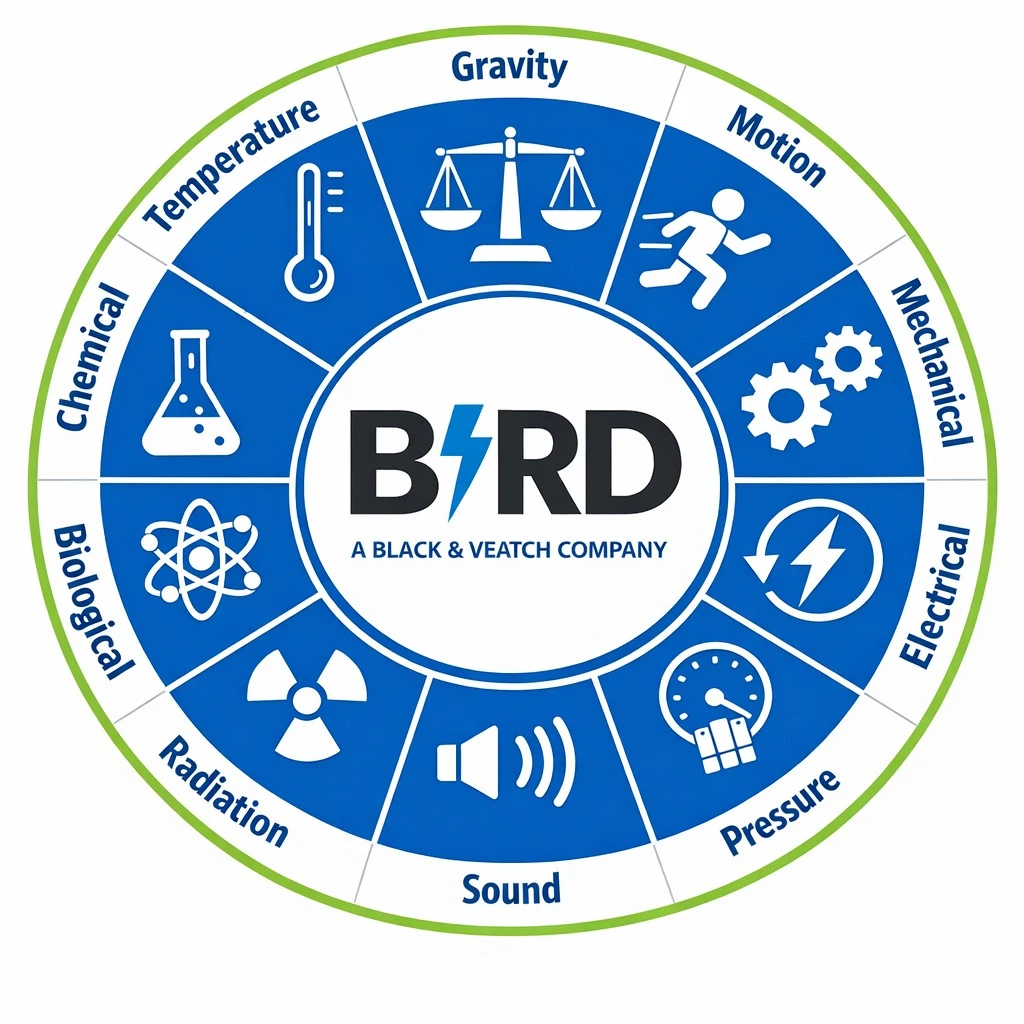 Bird Electric Energy Wheel