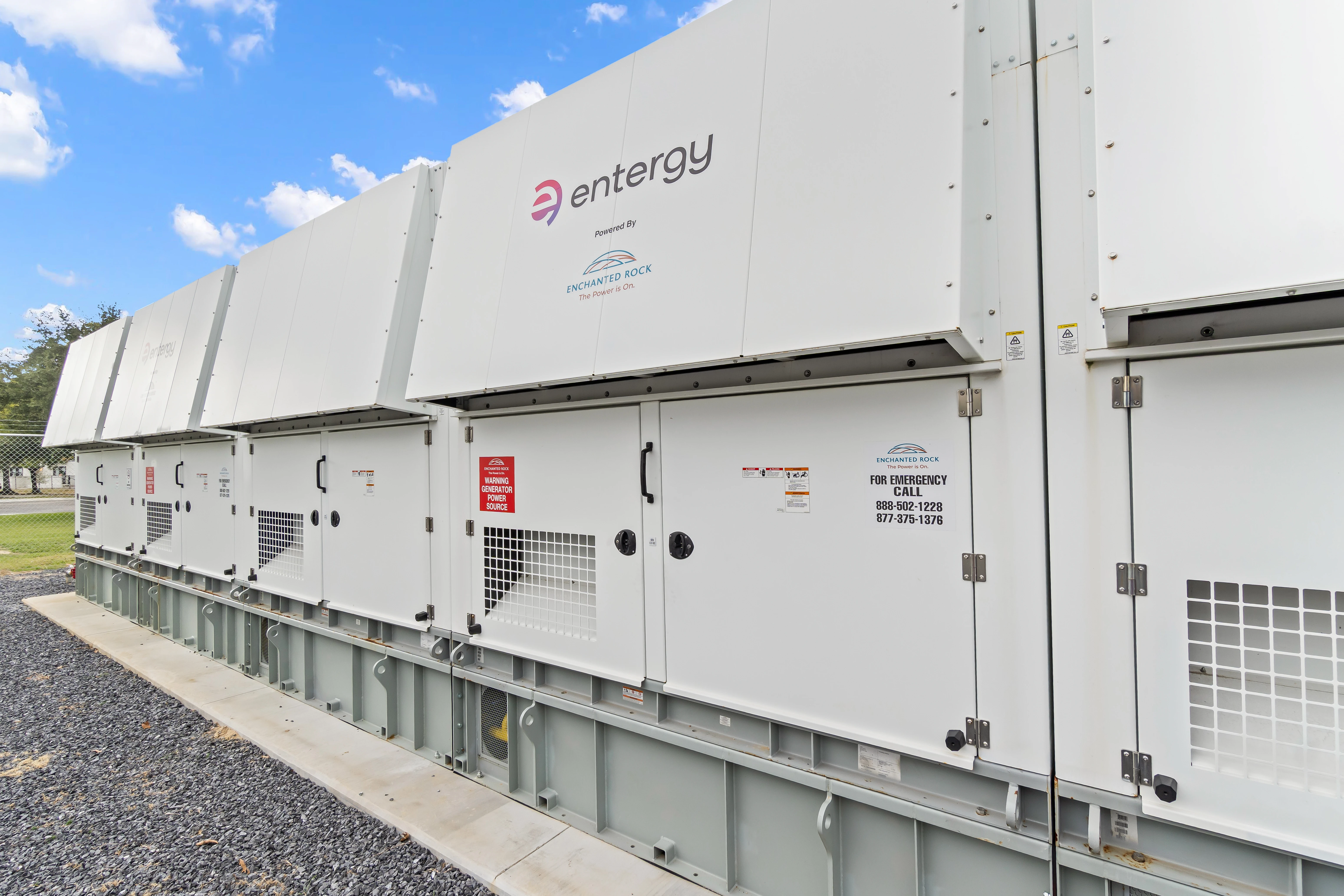 Entergy Bluebonnet Image