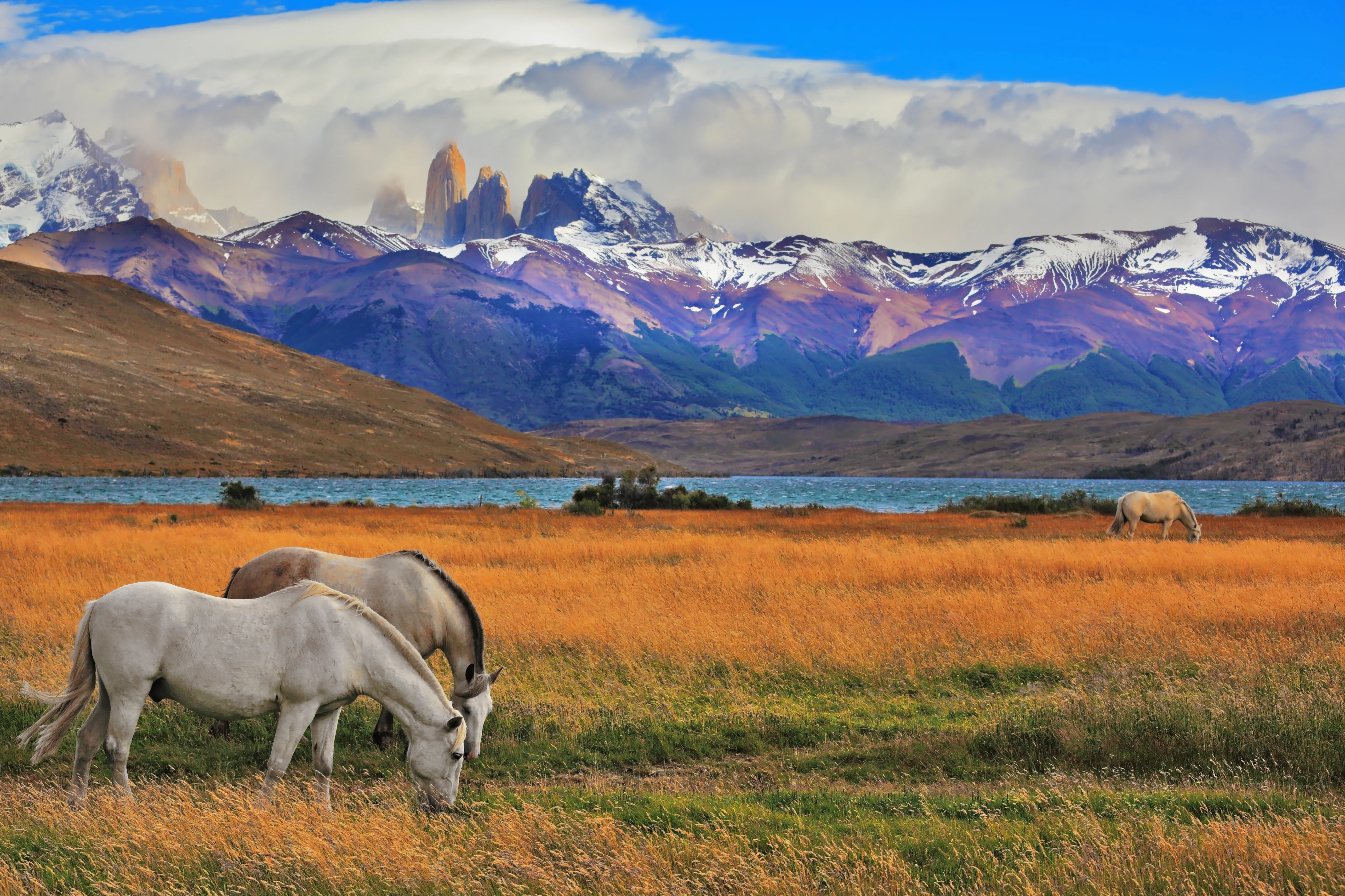 Chile Landmark