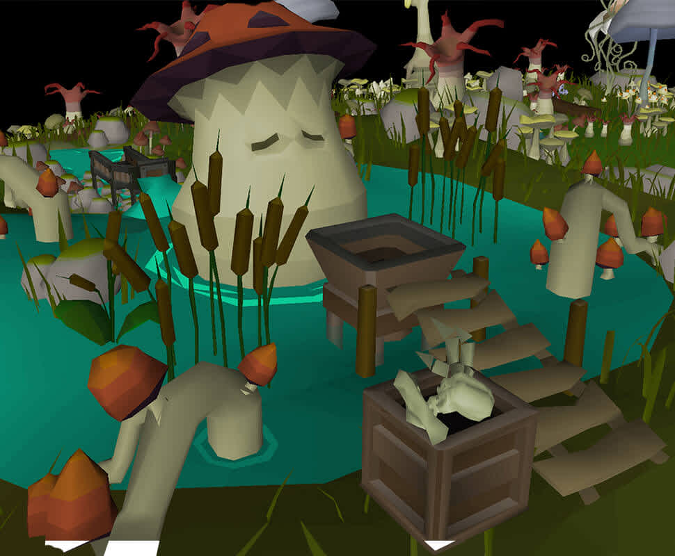 swamp with a magical mushroom