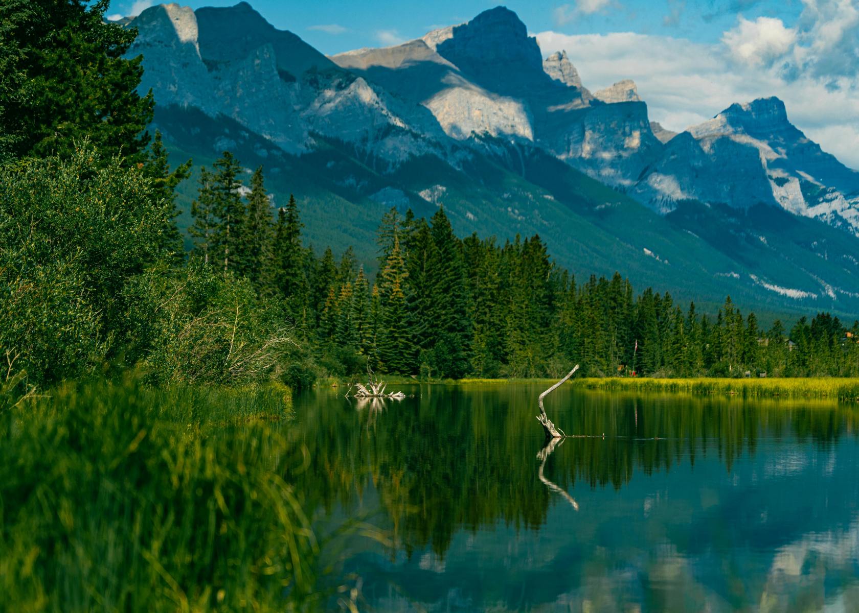 Scenic Mountain Lake in Summer