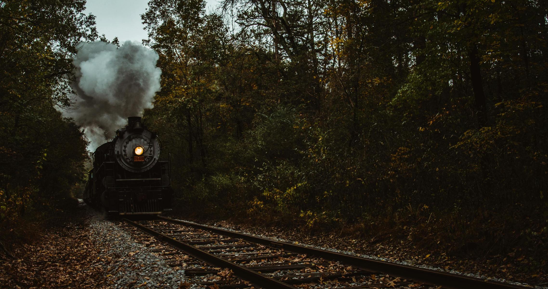 Train riding on railroad amidst lush forest trees