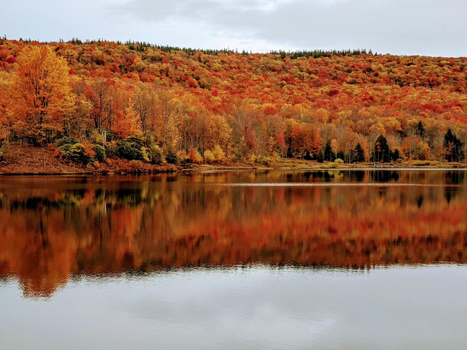 Autumn Trees Beside Lake