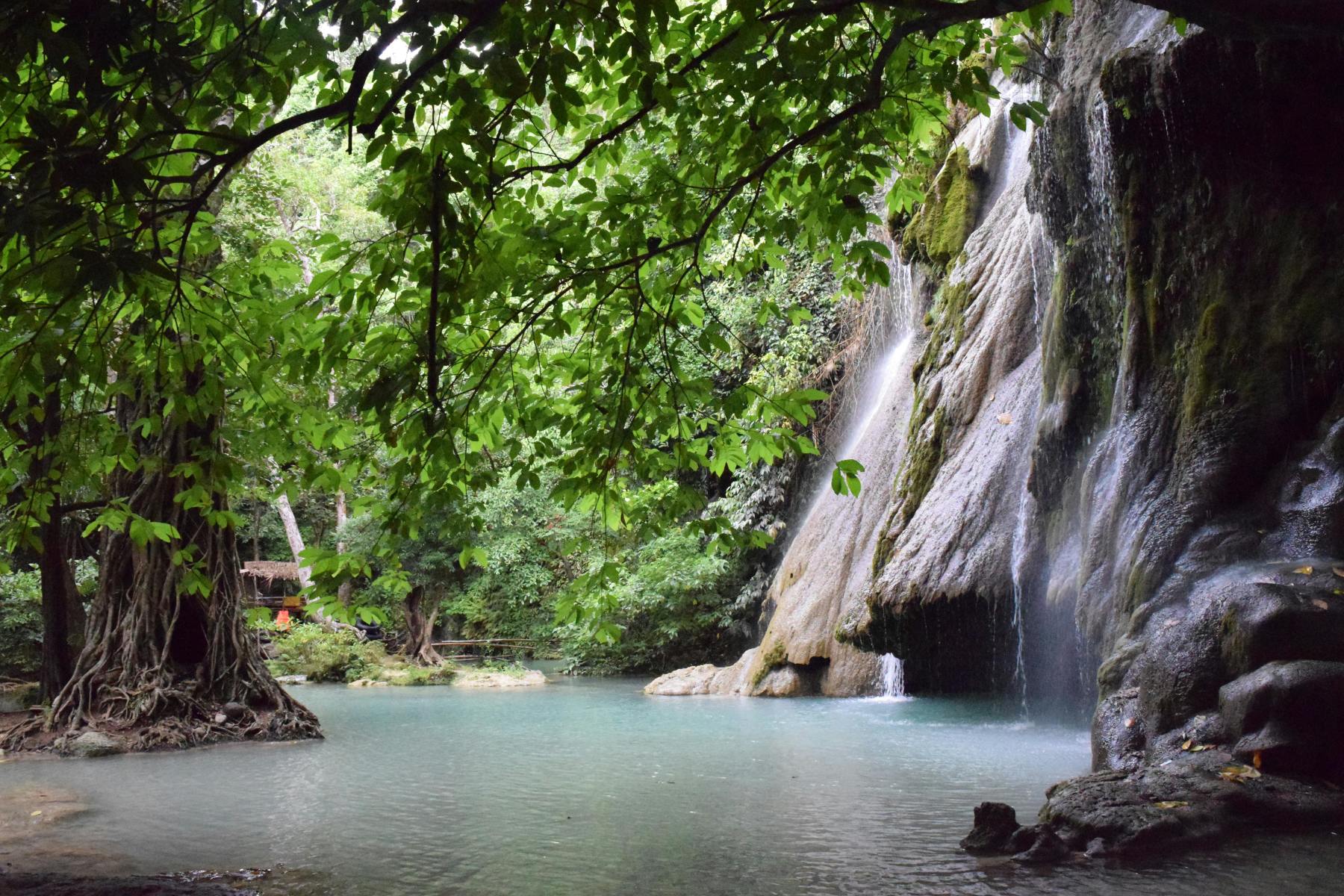 Picturesque waterfalls flowing through rocky ravine in green lush rainforest