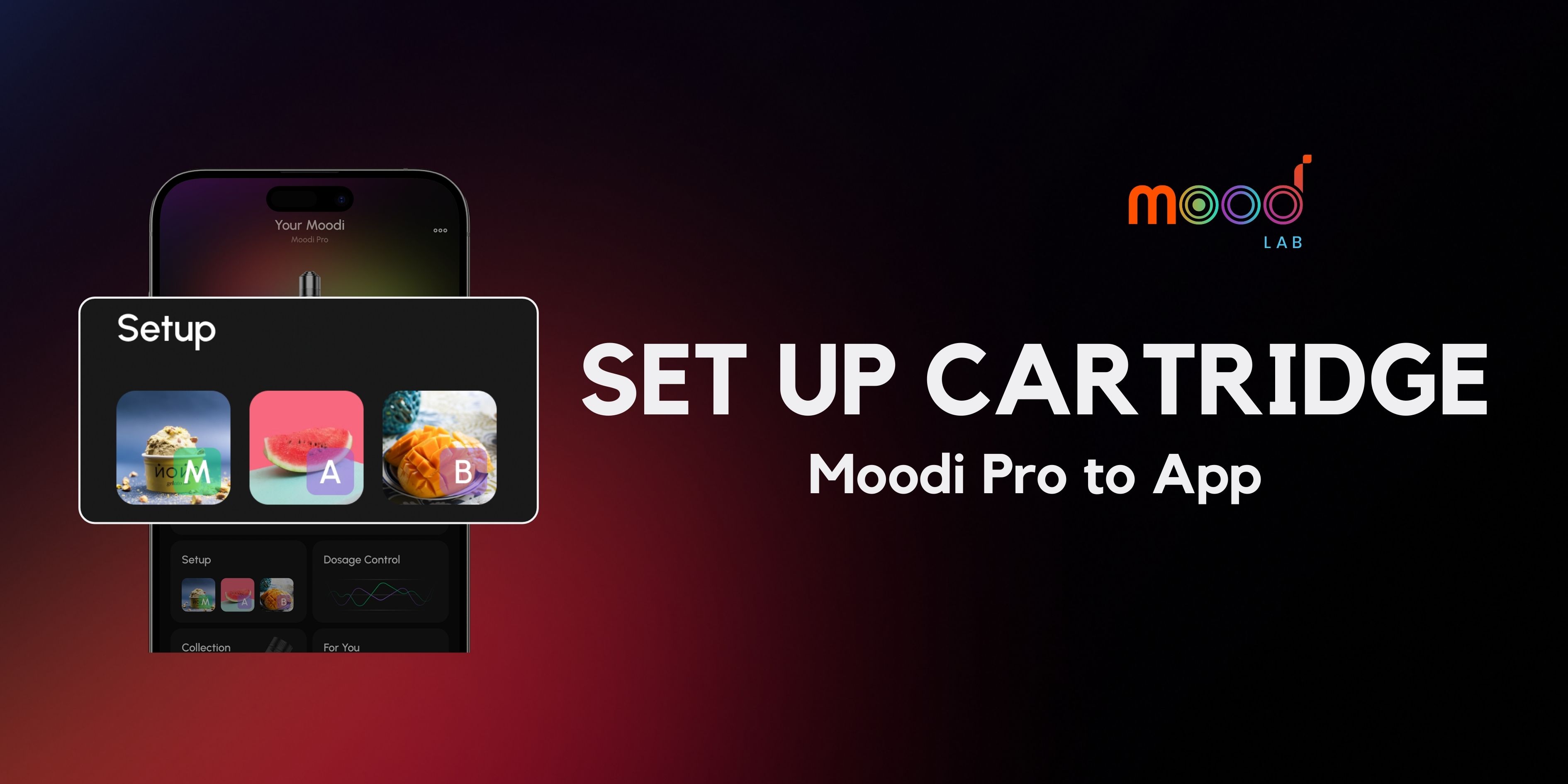 Set up cartridge Moodi Pro to App