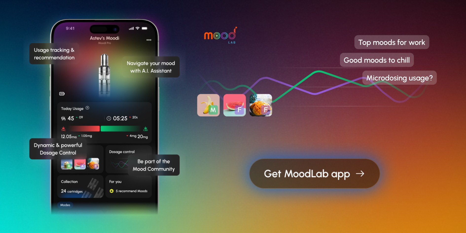 Moodlab Fits In Designing the Future of Experience