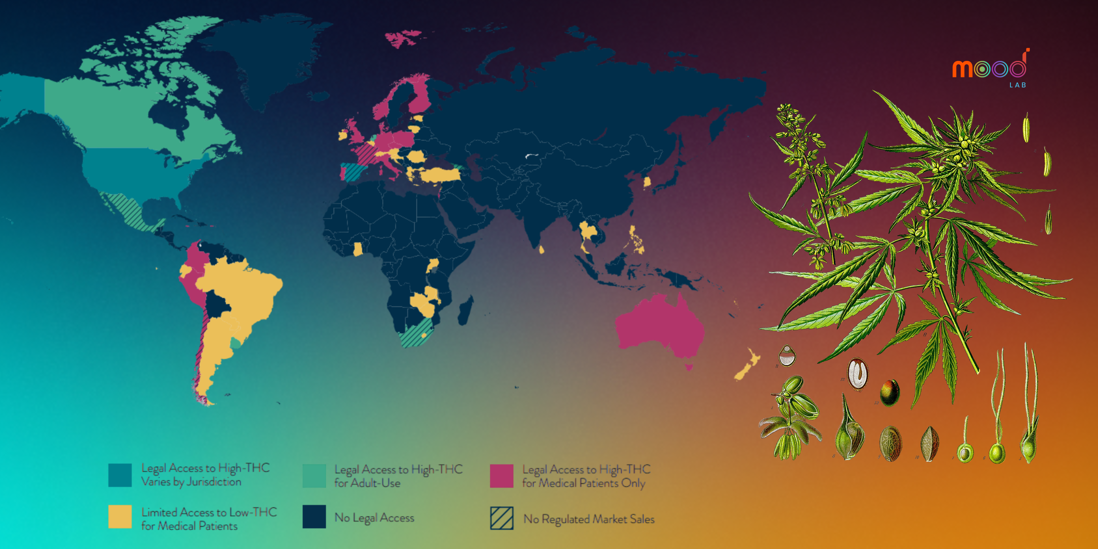 Cannabis Market 2025 Where MoodLab Fits Into