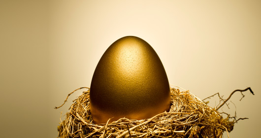 Golden egg on gold nest 
