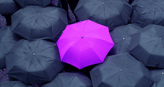 View from above one open purple umbrella surrounded by several black umbrellas 