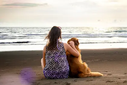 Young woman and dog sitting on the beach
