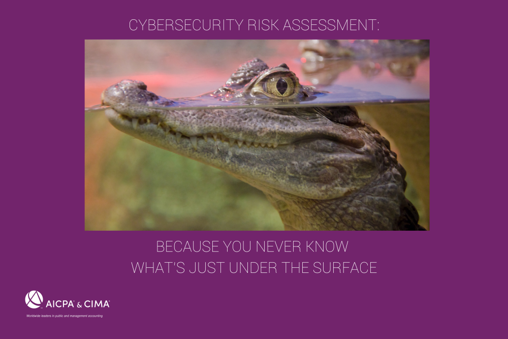 Copy of FB. Cybersecurity '19 Risk Assessment Memes PURPLE