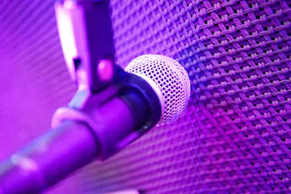 Close up of microphone on wall