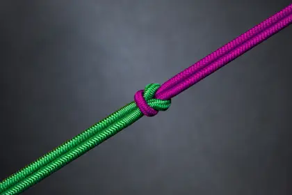 purple and green rope knotted in teamwork, unity 
