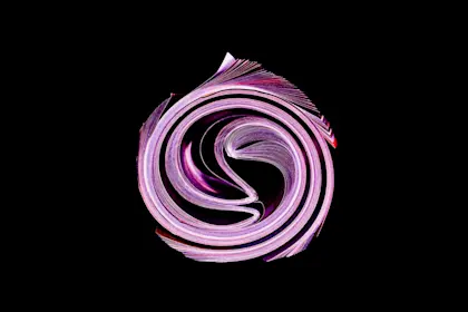 rolled up magazine