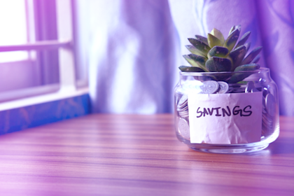 succulent plant in a pot of coins