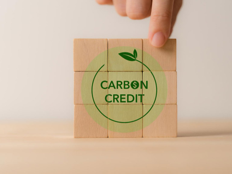 Carbon Credits: Understanding the Market, Trading Mechanisms, and Potential Opportunities
