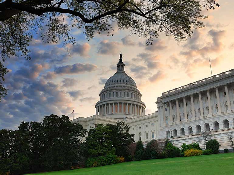 Markets React as Investors Weigh U.S. Senate Results