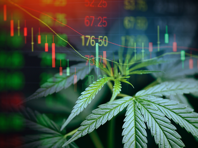 How to Trade Cannabis Stocks