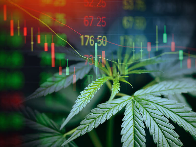 How to Trade Cannabis Stocks: Cannabis CFD Trading Guide