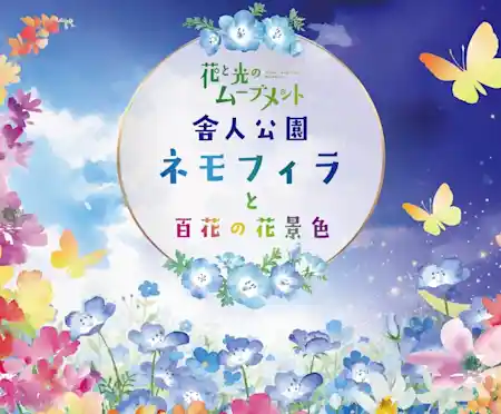 花と光のムーブメント（都立舎人公園・季節のイベント）