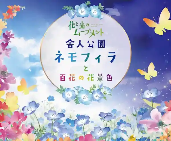 花と光のムーブメント（都立舎人公園・季節のイベント）