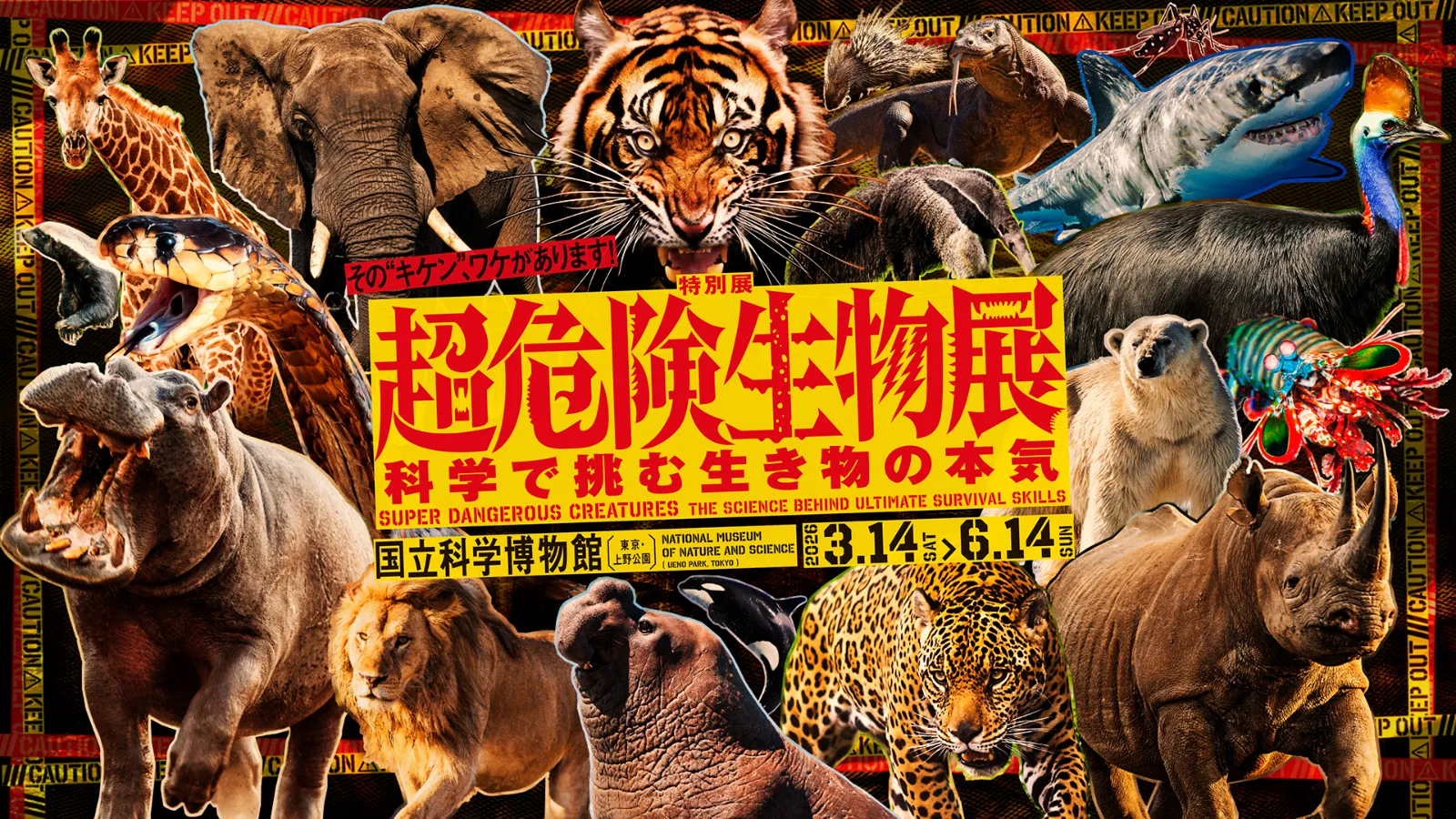 開催終了】特別展「超危険生物展 科学で挑む生き物の本気」（台東区
