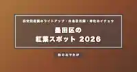 墨田区の紅葉スポット2026｜旧安田庭園のライトアップ（11/19〜12/27）・向島百花園・神社のイチョウ