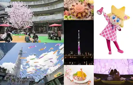 大人気のカフェイベントが昨年に引き続き登場！ 東京スカイツリー®を世界一高い桜に見立てた特別ライティングも！ 東京スカイツリータウン®の春イベント