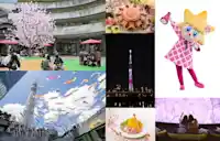 大人気のカフェイベントが昨年に引き続き登場！ 東京スカイツリー®を世界一高い桜に見立てた特別ライティングも！ 東京スカイツリータウン®の春イベント