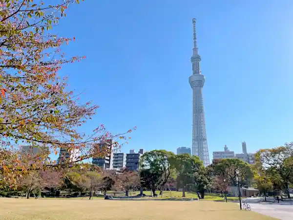 隅田公園　ミズマチ前広場 フリマ