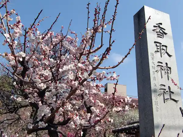 小村井香取神社 香梅園梅まつり 2025