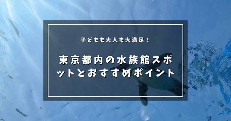 子どもも大人も大満足！東京都内の水族館イベントとおすすめポイント