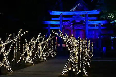 東京下町回遊 竹あかり