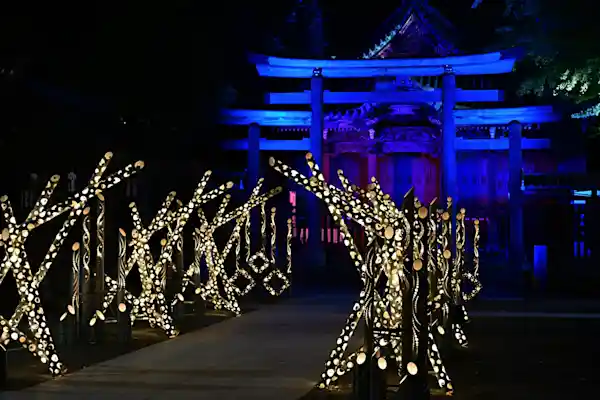 東京下町回遊 竹あかり