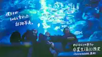 プロ写真家が卒業生の笑顔を鮮やかに残す 特別企画「#もうひとつの卒アル」を開催 ～思い出を増量、オリジナルプリ機やフォトスポットなども登場～