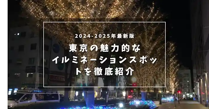 2024-2025年最新版 東京の魅力的なイルミネーションスポットを徹底紹介
