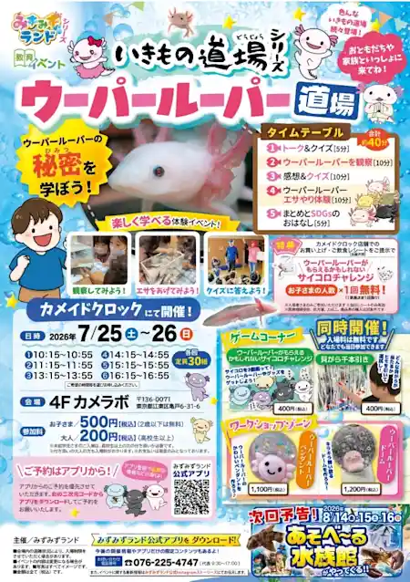 みずみずランド生き物道場シリーズ✨～ウーパールーパー～
