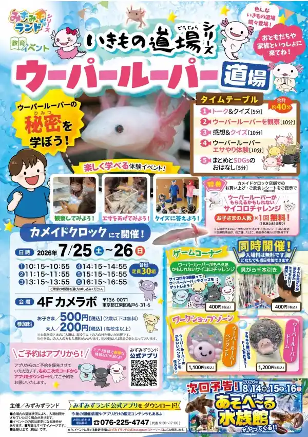 みずみずランド生き物道場シリーズ✨～ウーパールーパー～（カメイドクロック・体験・ワークショップ・アクティビティ）