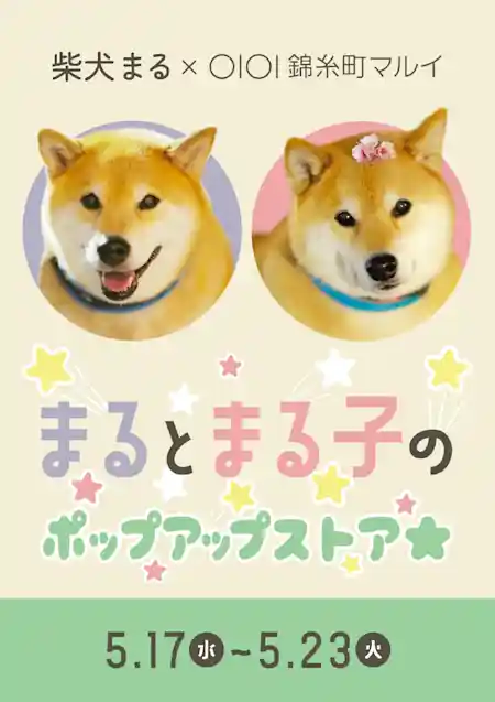 「柴犬まる ポップアップストア」（日用品グッズ）