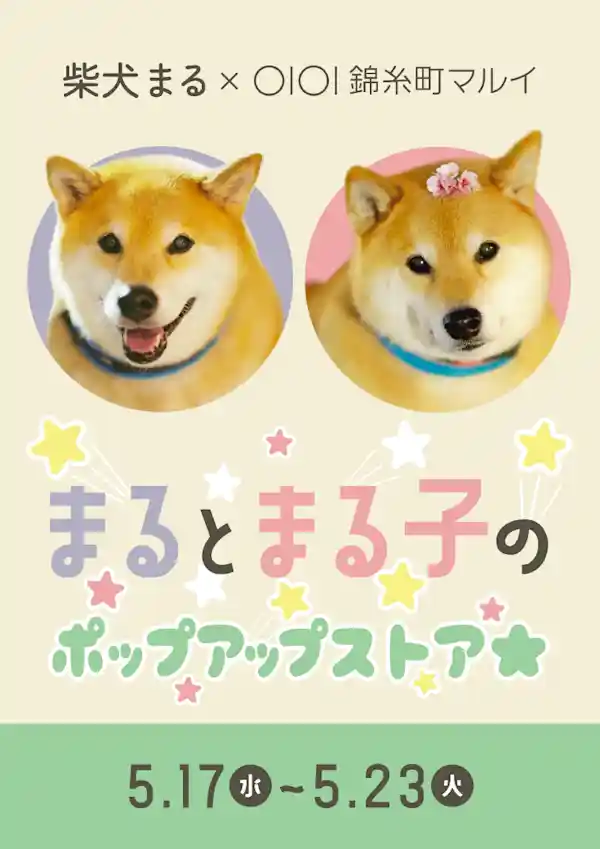 「柴犬まる ポップアップストア」(日用品グッズ)