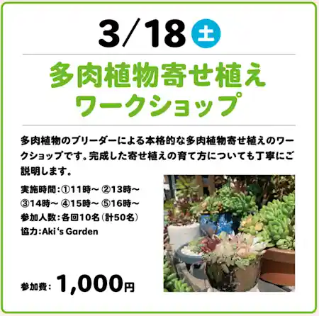 多肉植物寄せ植えワークショップ ~ 触れよう！作ろう！KIT de 体験 ~  in アルカキット錦糸町