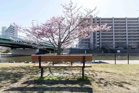 旧中川水辺公園