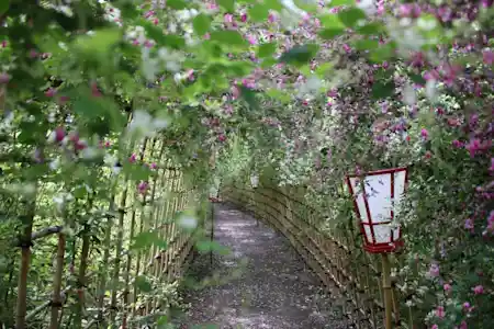 向島百花園 萩まつり 2026（向島百花園・祭り）