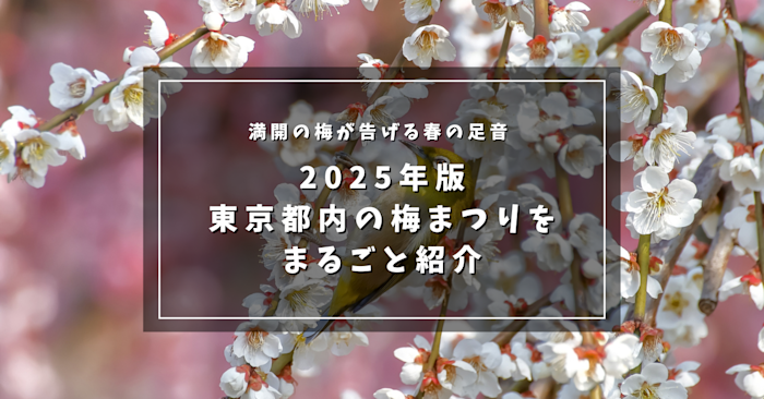 満開の梅が告げる春の足音 ～2025年版 東京都内の梅まつりをまるごと紹介～