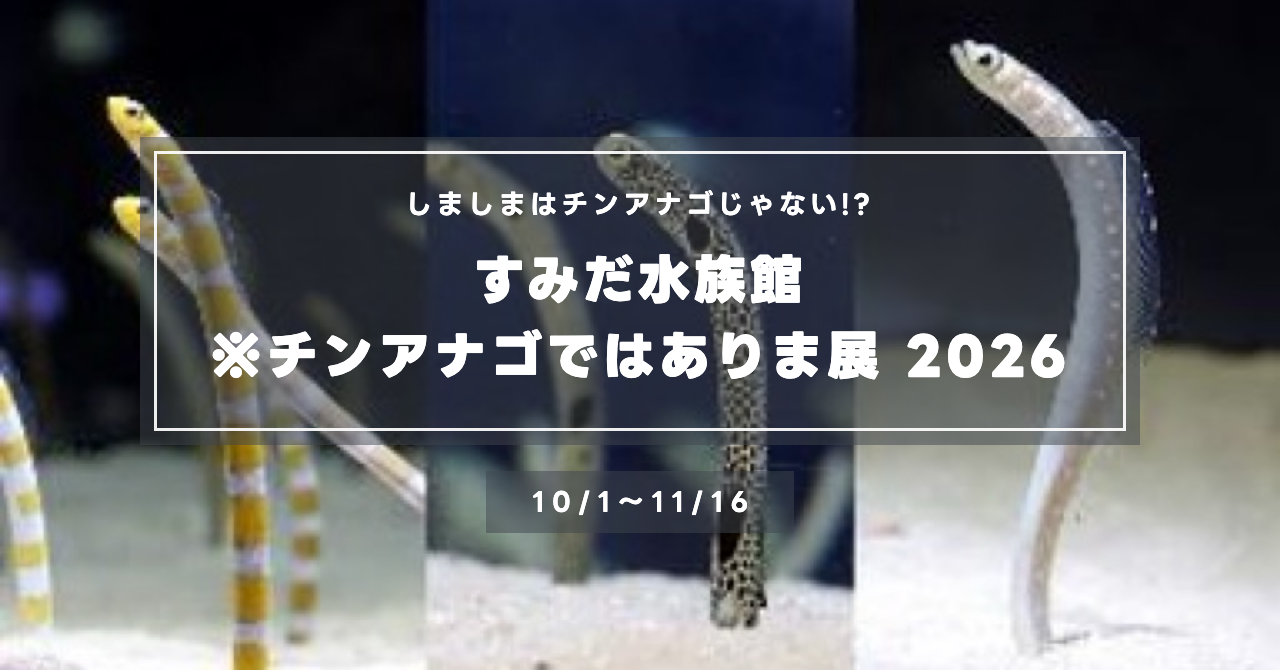 すみだ水族館「※チンアナゴではありま展」2026｜しましまは