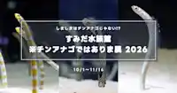 すみだ水族館「※チンアナゴではありま展」2026｜しましまはニシキアナゴ？ 限定メニュー・お面配布・ゴハンタイムの日程まとめ（10/1〜11/16）
