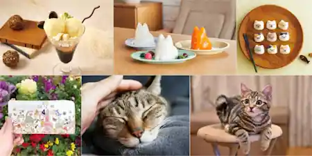 2月22日は「猫の日」!  東京ソラマチ® 猫の日フェア