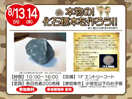 本物の!化石標本を作ろう!!